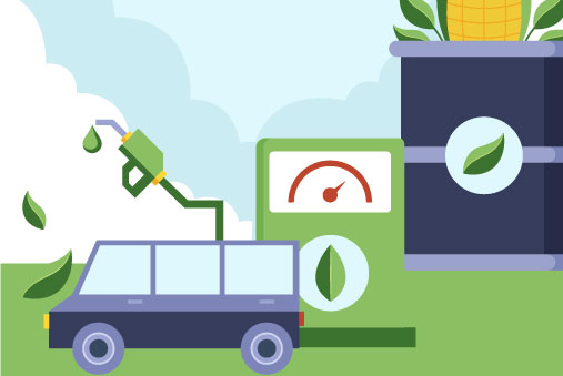 Convenience and Fuel Retail